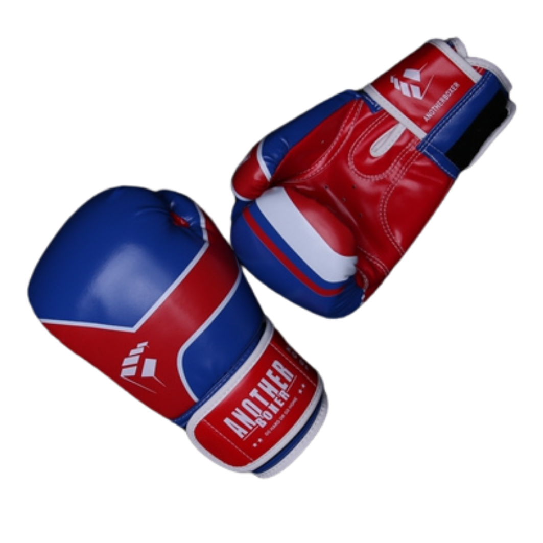 Classic Boxing Gloves - 14oz